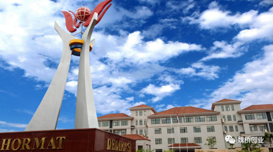 �ڲ�����-����Ϊ��,רҵ����!